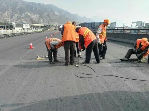 神池道路桥梁病害治理